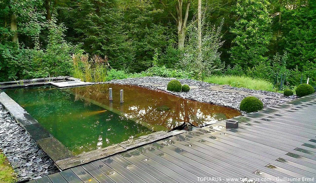 Création d'un espace Zen avec accès à la piscine